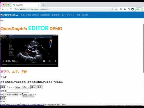 保健学科 OpenDolphin ブラウザー版 エディターを修正