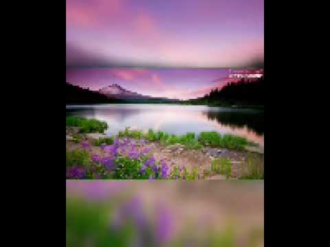 Devocional#725. 1 Crônicas 4:9-10. Confiança Radical.