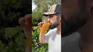 Making Homemade Hard Apple Cider from Our New Zealand Orchard