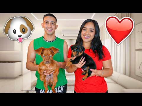 YOU WON’T BELIEVE WHAT WE DID!