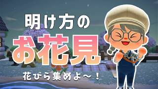 夜活…というかもはや朝活？(笑)｜あつ森雑談ラジオ【睡眠・作業用】