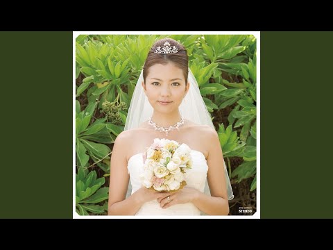 情熱の薔薇 のサムネイル
