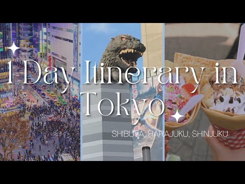 1 Day Itinerary in Tokyo (SHIBUYA, HARAJUKU, SHINJUKU)