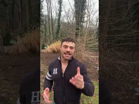 Which Type Collagen Best For Skin & Joints