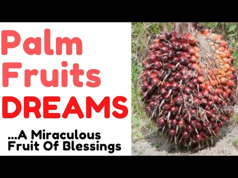 PALM FRUITS DREAM | IF seen in Dream; A Miraculous Blessing Is Coming Your Way