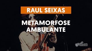 Metamorfose Ambulante - Raul Seixas (aula de violão simplificada)
