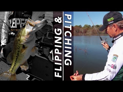 Punch Rig: The Ultimate Heavy Cover Technique for Big Bass - USAngler