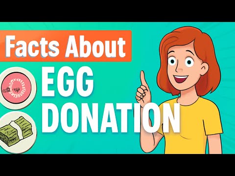 Egg Donation 101: Know This Before Donating Your Eggs