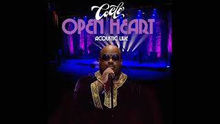 CeeLo Green - Robin Williams (Live)