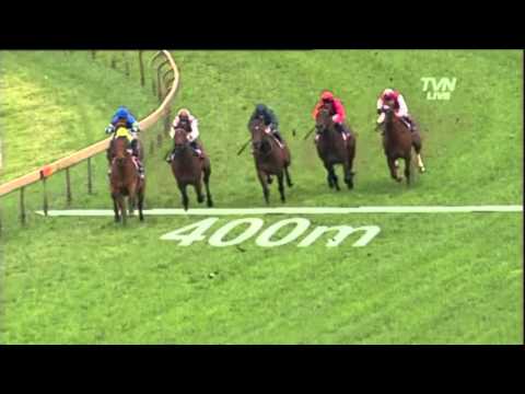 2011 Golden Rose - Manawanui