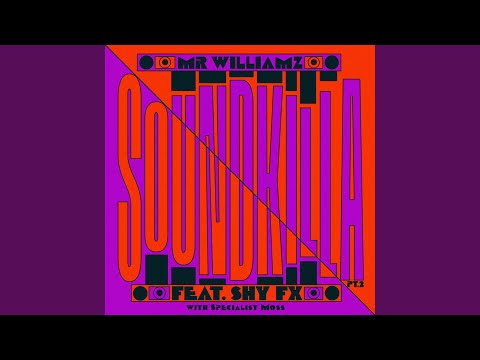 Sound Killa, Pt. 2 (Feat. SHY FX & Specialist Moss)