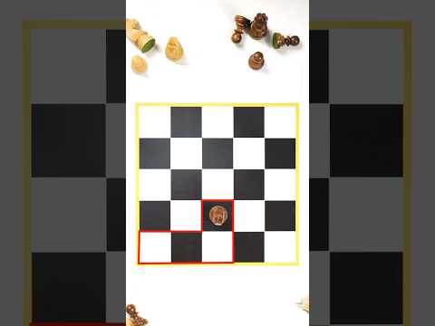 Can one knight conquer the entire chessboard?