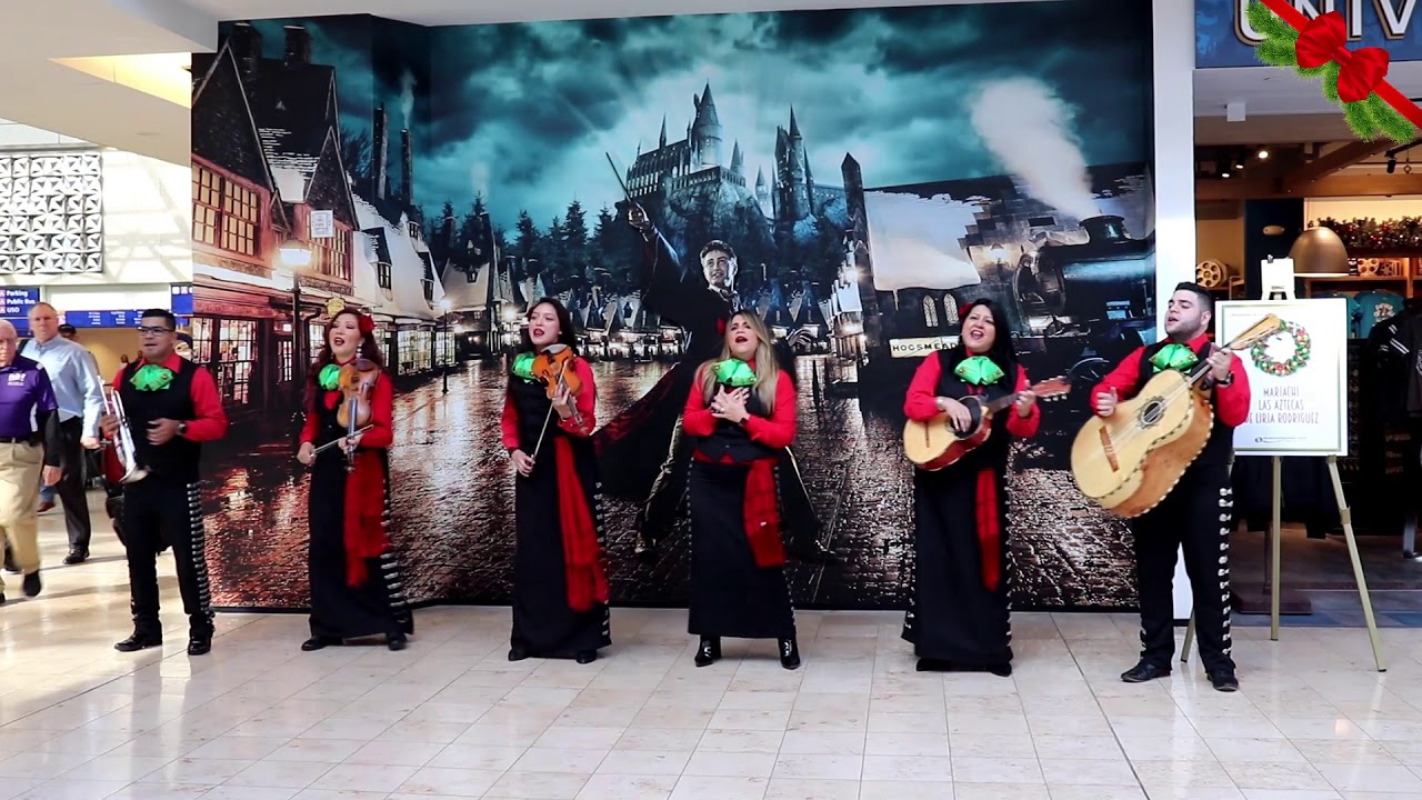 Promotional video thumbnail 2 for Musica para toda ocasion y convenciones