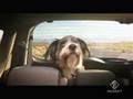 Renault Grand Modus Spot