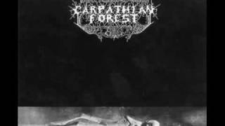 Carpathian Forest - Lupus