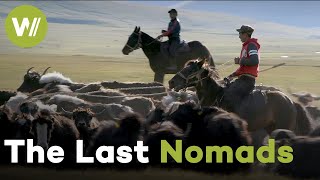 Kyrgyzstan's Herders and their Great Summer Migration | Guardians of the Earth (2/5)
