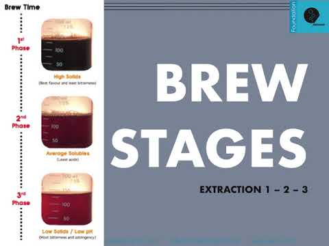 SCA Coffee Brewing Foundation - Part 2 - Sharing my old PowerPoint slides with content explanations.