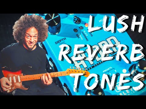 Keeley Hydra | Get Lost In The Stereo Tones