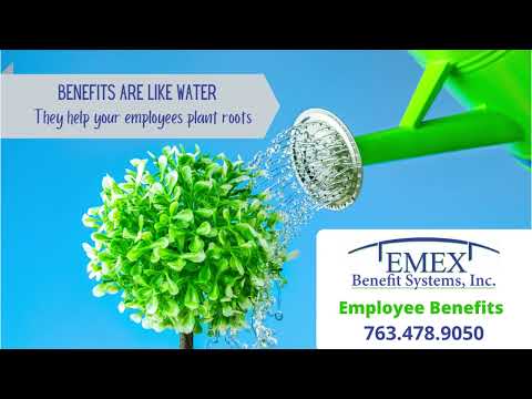 EMEX Benefit Systems - Group Benefits 101