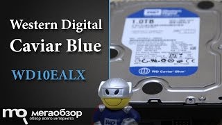 WD Blue 1 TB (WD10EZEX) - відео 2