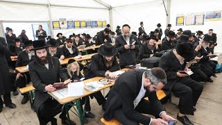 מראות וצלילים: אלפים משתתפים ביחרצייט של רבי אלימלך מליזנסק זצ"ל