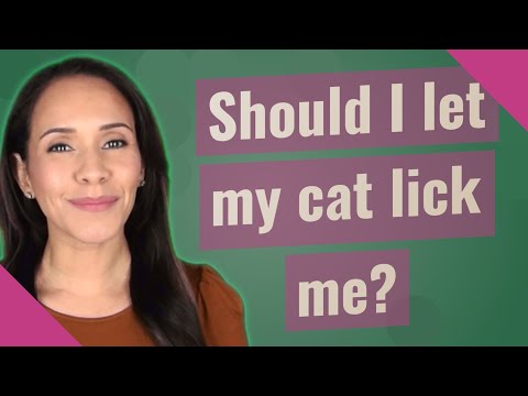 Should I let my cat lick me?
