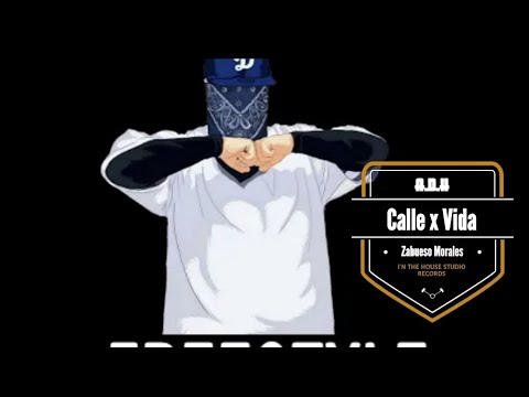 Calle x Vida  -  Zabueso Morales