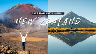 5 MUST VISIT Spots In North New Zealand 🇳🇿