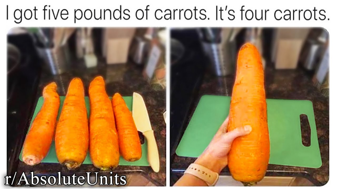 ALL OF R/ABSOLUTEUNITS