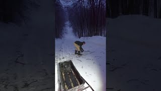 faze tari aluneca la vale