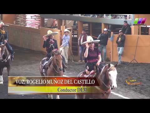 DLM278 080220 Bloque 1   2 Caladero Femenil  AVC  Erika Abúndez  Com y Arguende