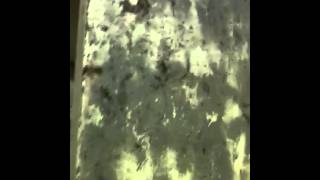 Everybody's Inn Reno Nv