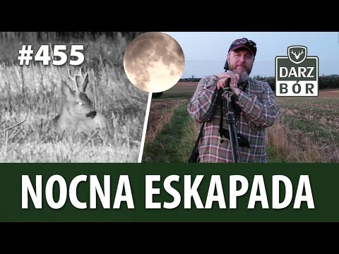 Darz Bór odc. 455 Nocna eskapada