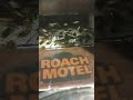 Live View Of The Roaches In the Roach Motel ‎@moneymattersproductreviews583