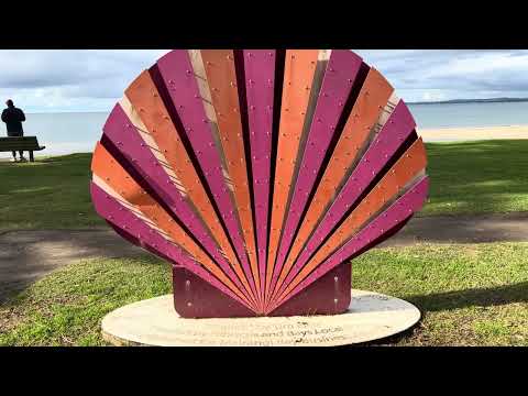 One hour run from Mairangi Bay to Brownsbay