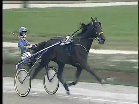 Trotto 03/12/2017 - 2ª corsa