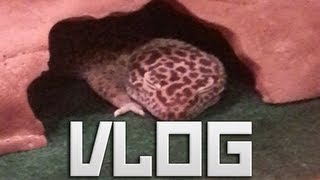 Vlog: Fan Mail, Eurogamer and Competition!