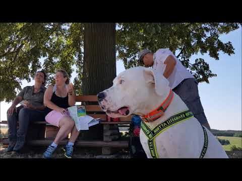 Erlebnispfad Wipfeltour auf leisen Pfoten