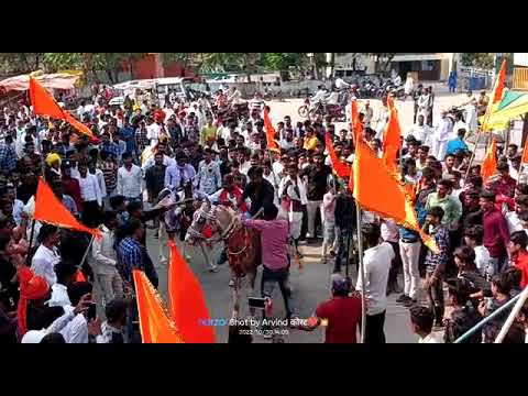 ruhela samaj shobha yatra pachore