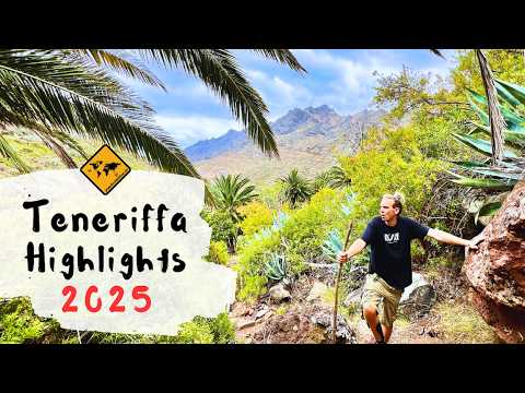 TENERIFFA Sehenswürdigkeiten OHNE Touristenmassen: Geheimtipps & Highlights für 2025