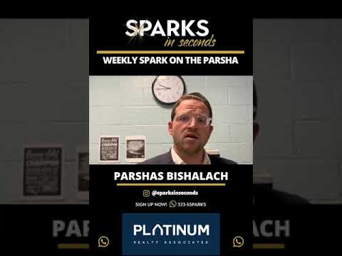 Rabbi Eli Farhi - Parshas Bishalach