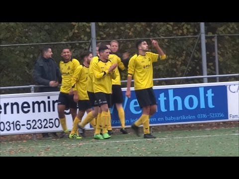 DCS 1 - DVV 1 "De doelpunten" (13-11-2016)