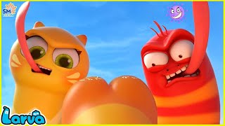 Download lagu LARVA SEASON 3 EPISODE 276~ 377🍟 NEST VERSION LARVA 2024 | COMICS | MINI SERIES FROM ANIMATION LARVA mp3