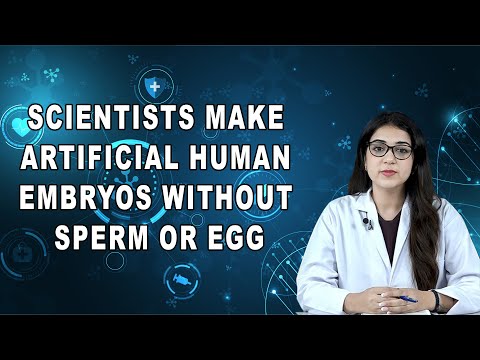 Scientists make artificial human embryos without sperm or egg