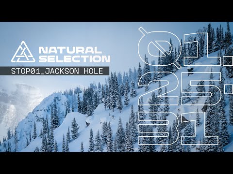 Natural Selection Returns to Jackson Hole, WY