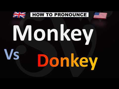 How to Pronounce Monkey VS. Donkey