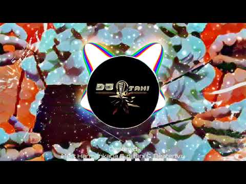 Mert Harmankaya & dj tani & Beatenvy - Destined [Official Visualizer]