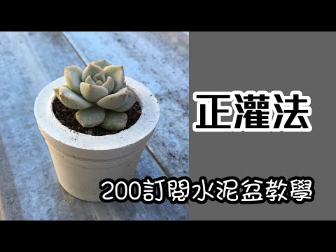 正灌法水泥盆製作教學