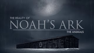 The Animals | The Reality of Noah&#39;s Ark