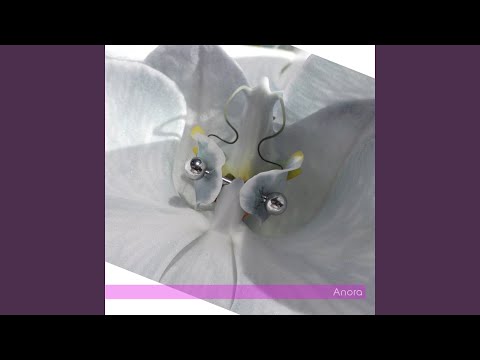 Miniatura de Anora